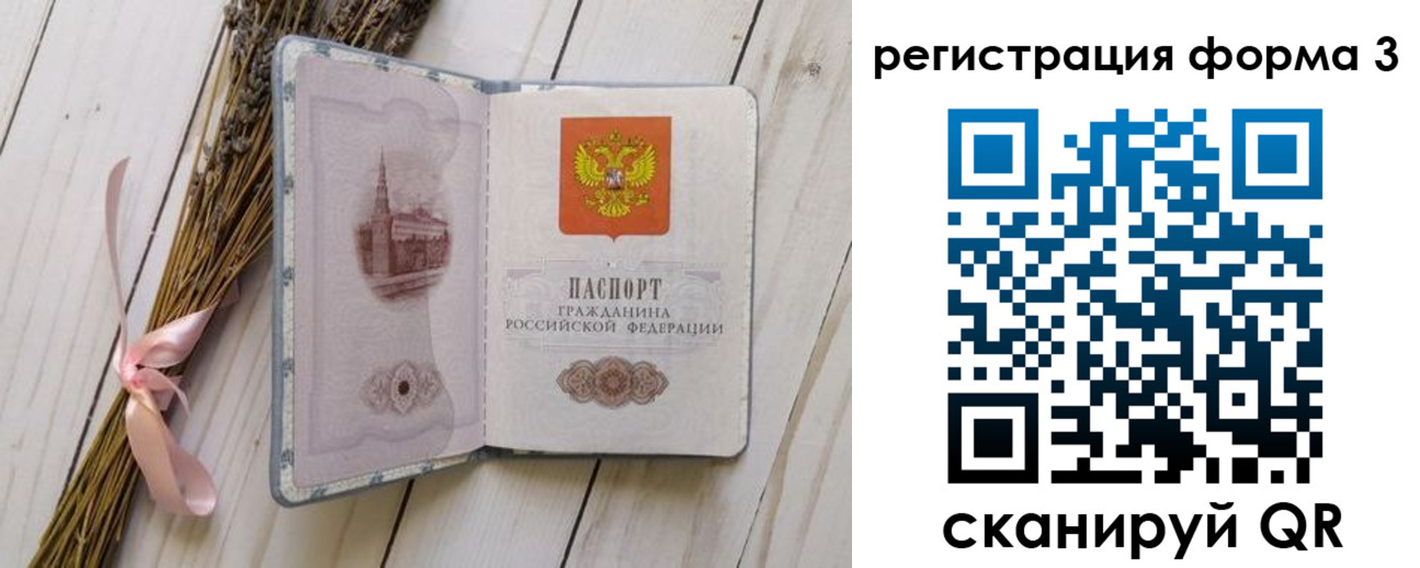 прописка поиск в Зверево